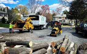 Best Commercial Tree Services  in Scandia, MN